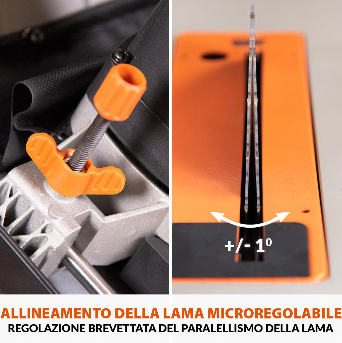 Pacchetto Evolution: Banco Sega R255TBL+ 1800W con lama da 255mm multi-materiale TCT + Supporto portatile con ruote